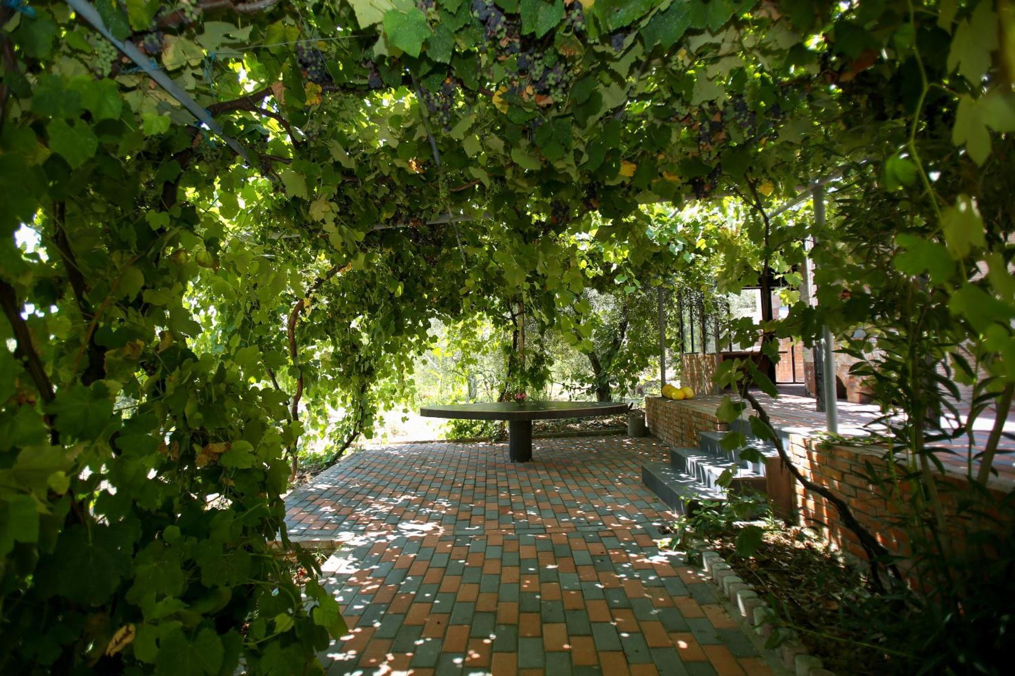 Dapaj Luxury Vila